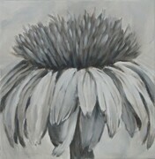 Coneflower, Small (SOLD)