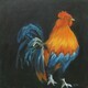 Picton Rooster (SOLD)