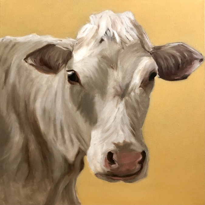 Charolais (SOLD)