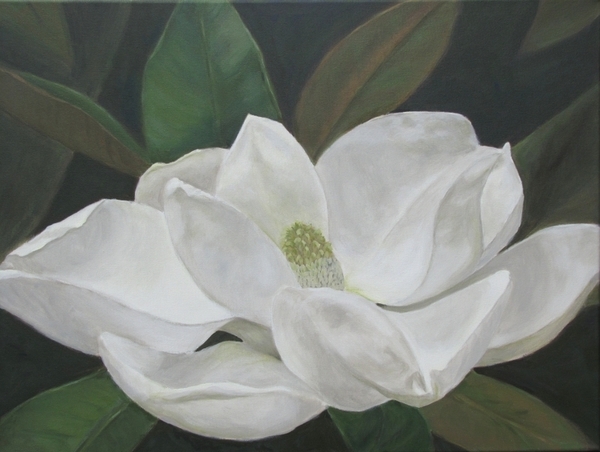 Sweet Magnolia (SOLD)