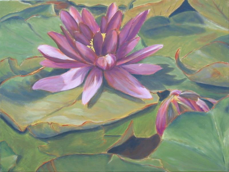 Waterlilies (sold)